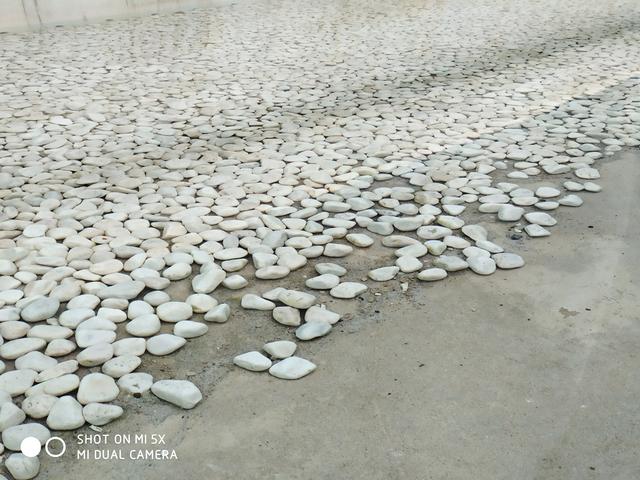 小米5x双摄曝光,小米五拍照