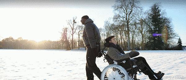 全球公认的100部最好看的电影,今日电影推荐哪几部值得看