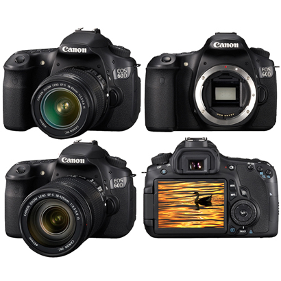 适合新手入门性价比高的单反相机,新手买单反相机推荐入门选哪款