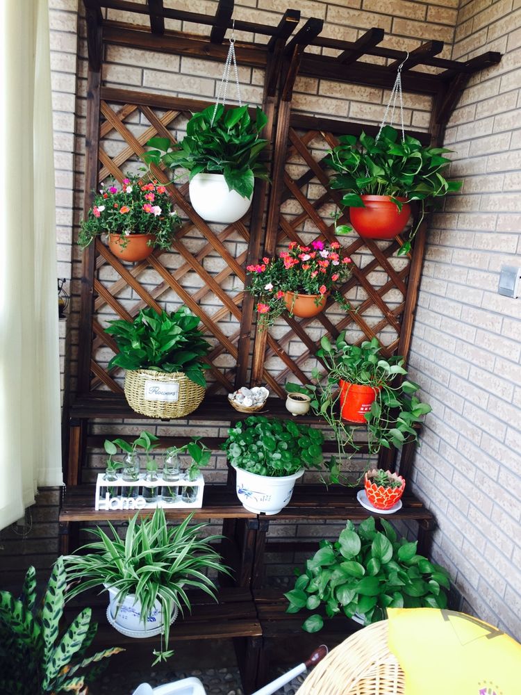 虚度光阴才是最好的状态,虚度时光才是人生的最高境界