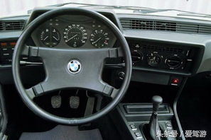 开惯宝马5系和7系想飙车换个6系轿跑车怎么样?