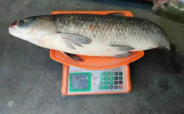 半价活动快来抢购,半价狂欢活动来袭