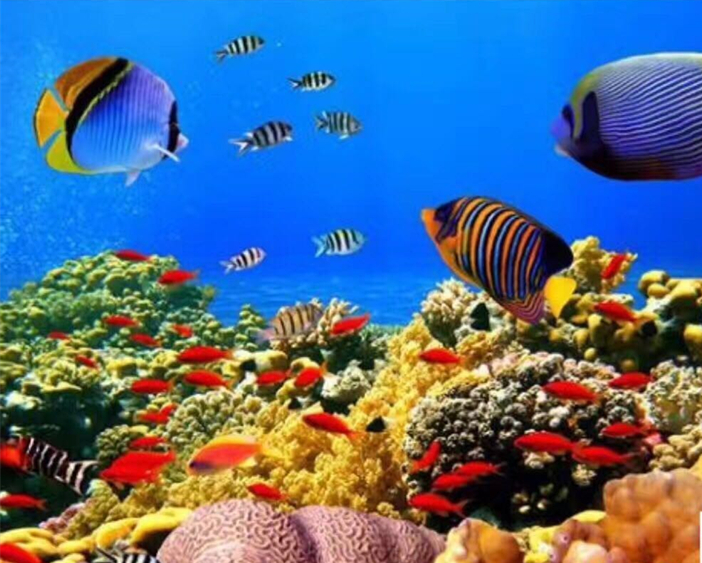 商圈通：拥抱吧微商的朋友们