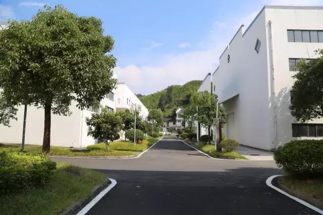 小产区祥源茶,小产区祥源茶礼盒