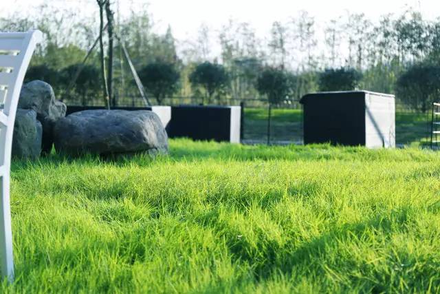 宜兴周边避暑一日游,宜兴开车避暑攻略