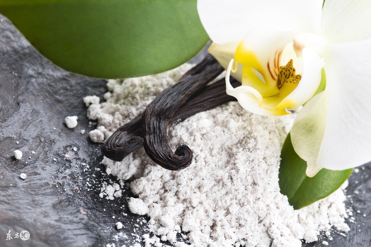 闻香识美人在线阅读,闻香识美人探戈