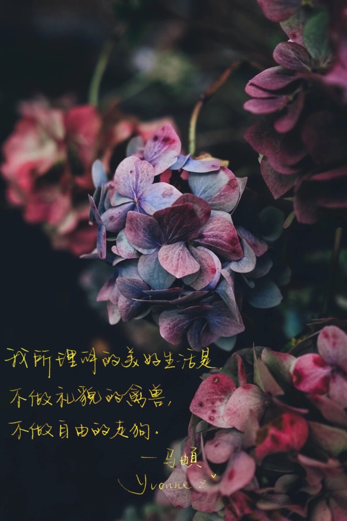 我喜欢在故事里旅行，终遇你忠于你