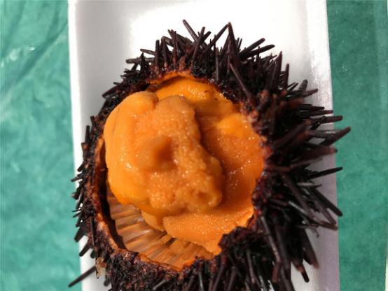 美食，美酒与美景-日本中北部升龙道深度游攻略（二）