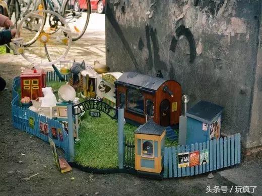 这些店贼傲娇,只接待一个贵宾——老鼠