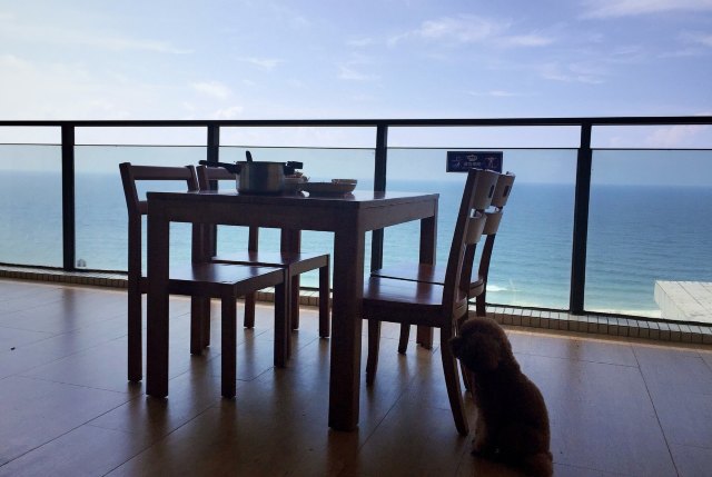 阳江海陵岛旅游攻略一天多少钱,海陵岛自驾游最佳路线攻略