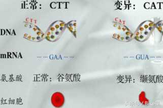 辽宁省做亲子鉴定多少钱,做dna亲子鉴定多少钱一次