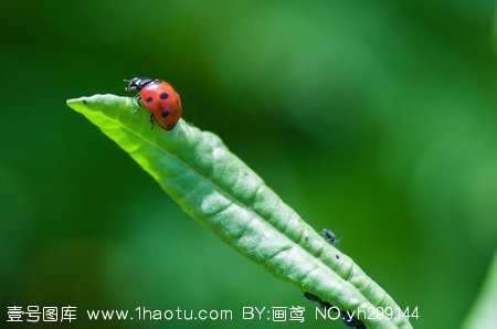 学摄影要懂p图吗,学摄影镜头选择