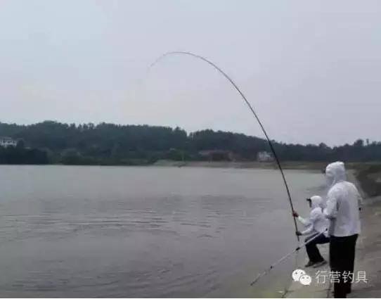 半价活动快来抢购,半价狂欢活动来袭