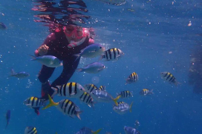 看鲨鱼，玩泥巴，看男人穿婚纱，带你看不一样的帕劳