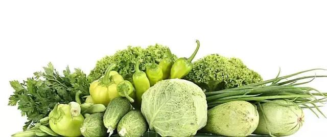 自家阳台上种的无公害绿叶菜,绿色蔬菜的种植方式是什么