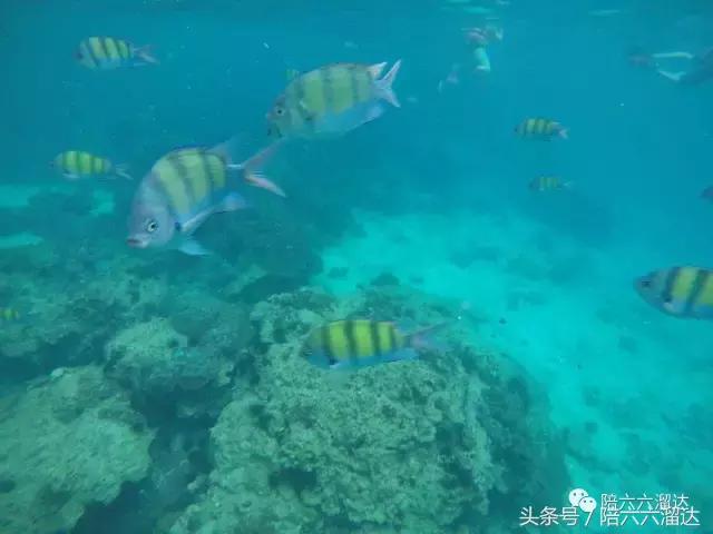 普吉暑假亲子游,这个暑假去旅游怎么样