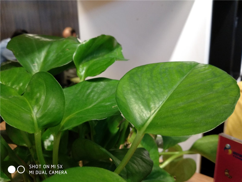 剑指线下新零售小米5x详细评测,小米5x在哪里买比较好