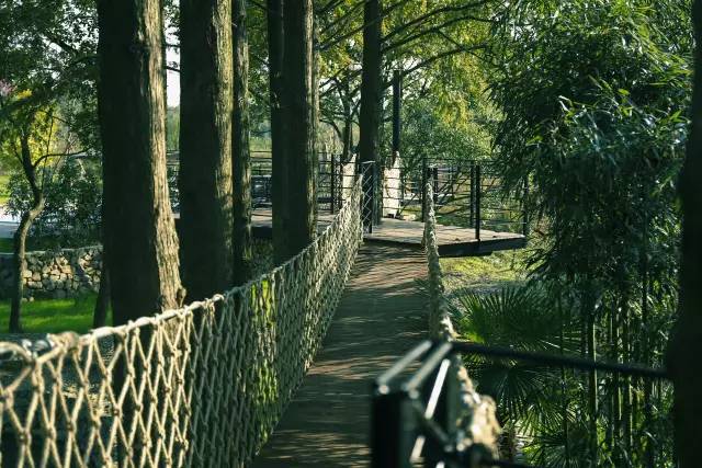 宜兴周边避暑地方,宜兴开车避暑攻略