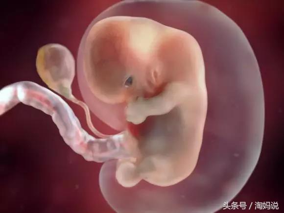 胎儿发育40周全过程注意事项,赞宝宝训练抬头的句子