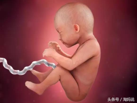 胎儿发育40周全过程注意事项,赞宝宝训练抬头的句子