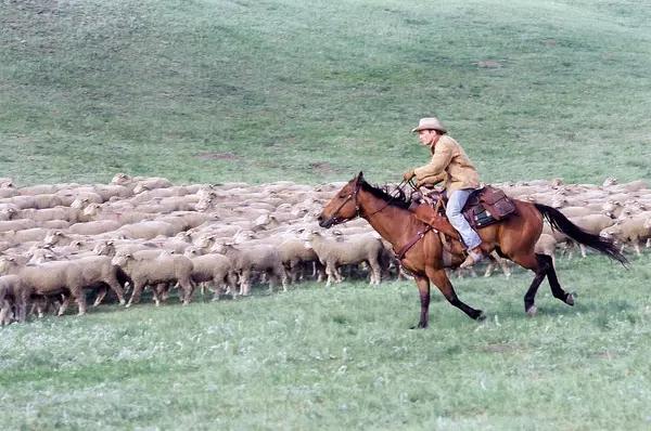从电影到生活，荧幕情侣假戏真做、他们的定情之作在这里！