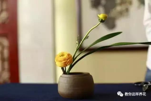 娈嬫灊璐ュ彾鎻掕姳,娈嬫灊璐ヨ姳