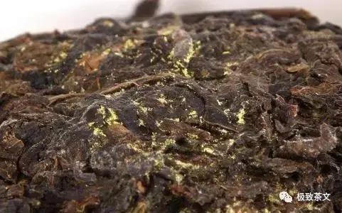 再加工茶类知识,再加工茶