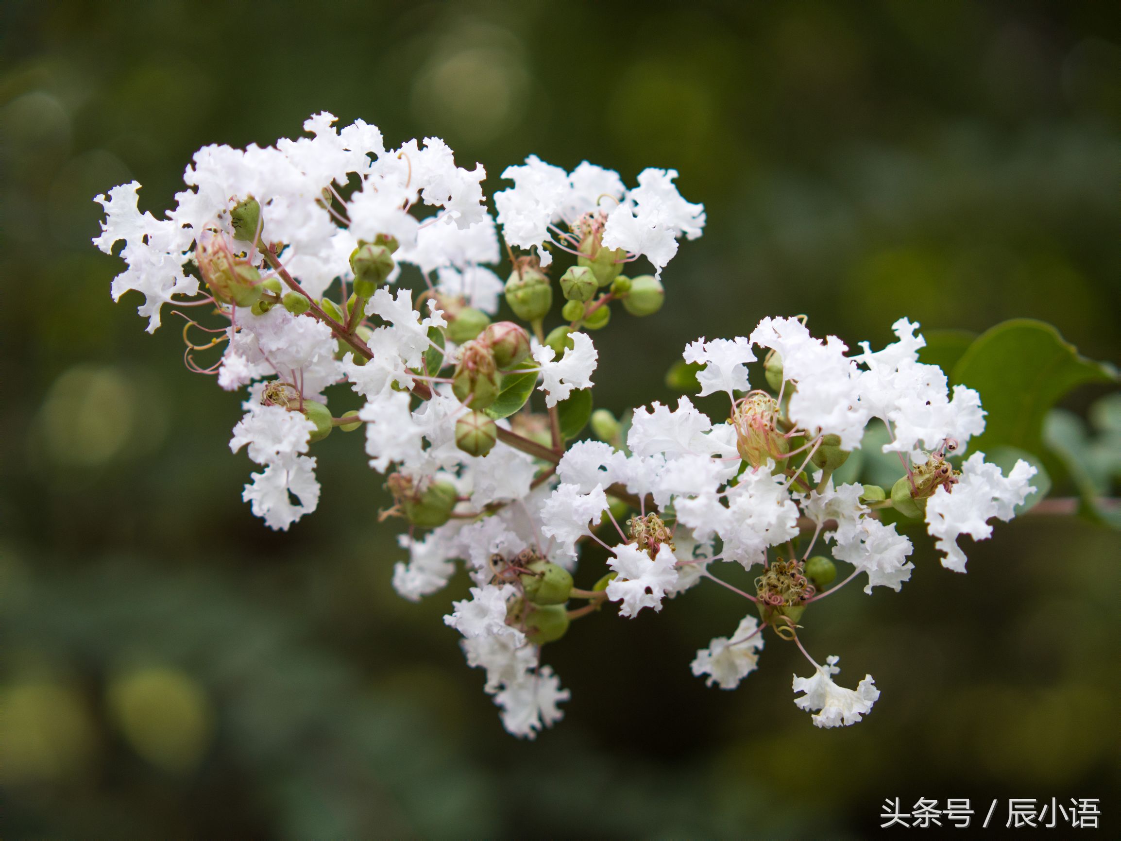 小蚁微单相当于什么相机,小蚁微单深度评测