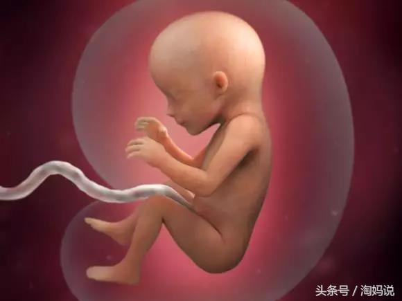 胎儿发育40周全过程注意事项,赞宝宝训练抬头的句子