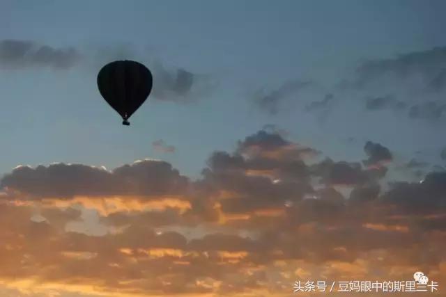 风动？树动？心动！致你，Kenya