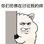 秘鲁神兽来袭,能给你的绝不只是表情包