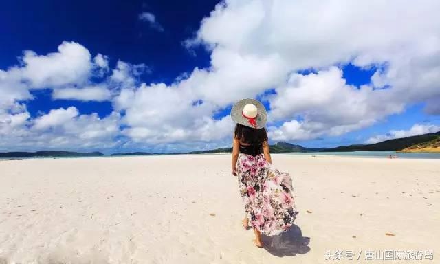 承包一整片海的浪漫,承包一片海域能干什么