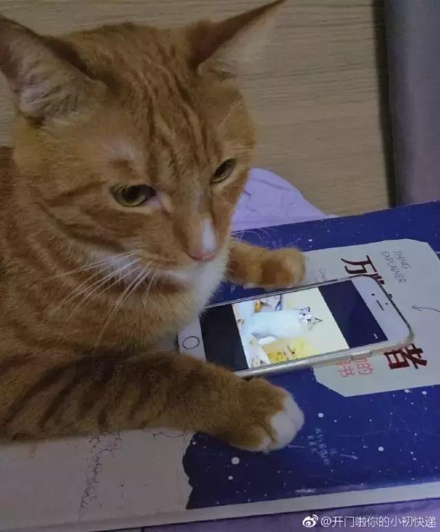 看背影迷倒千军万马,背影一般能给多少分