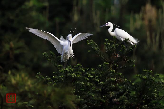 小地方水都丹江口,亚洲水都丹江口