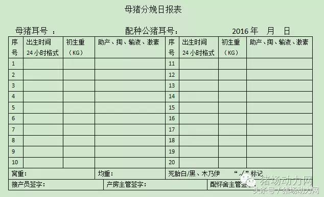 母猪难产接产步骤方法,母猪生产是死胎生产慢怎么办