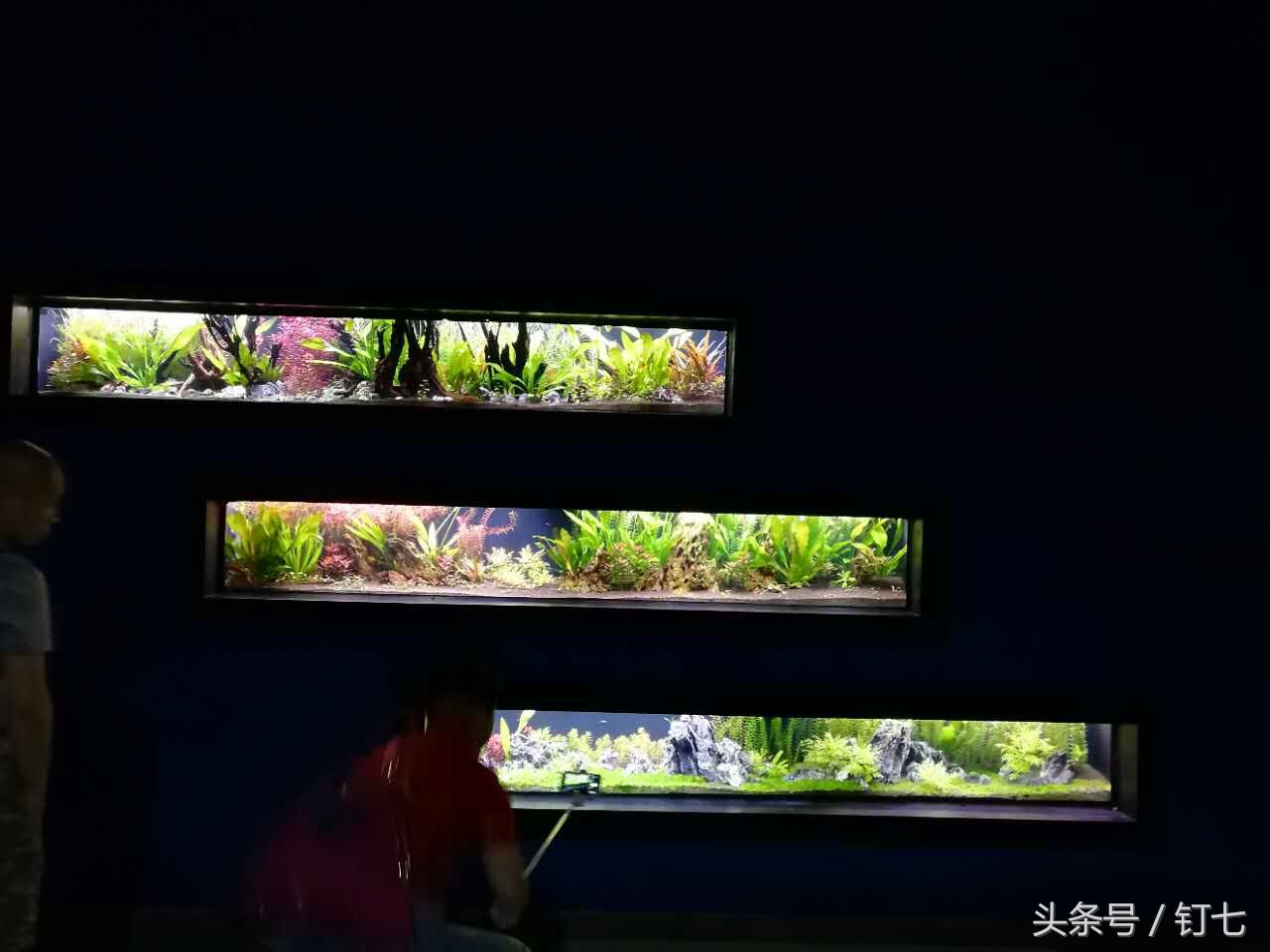 夏天与海绝配,夏天与海洋更配的图片