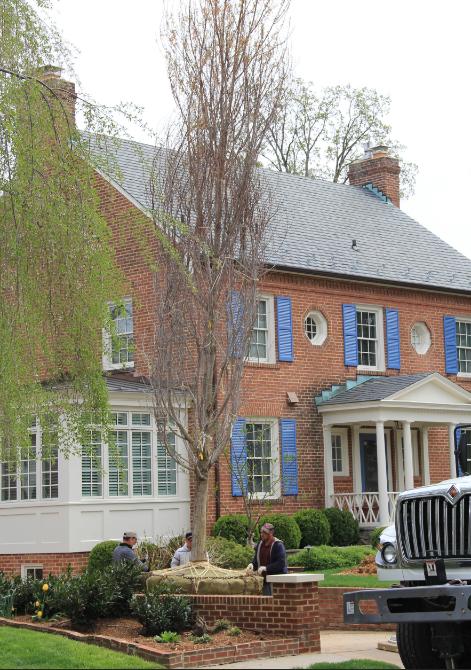 美国农民挣钱,美国农民种树