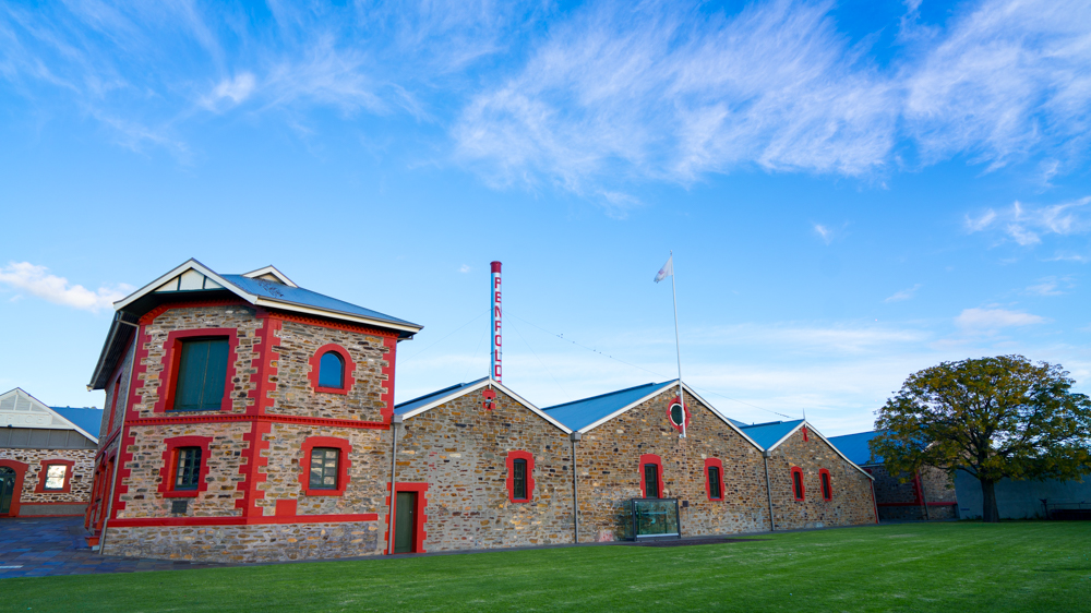 澳洲生蚝哪里最好,全球顶级生蚝多少钱一个