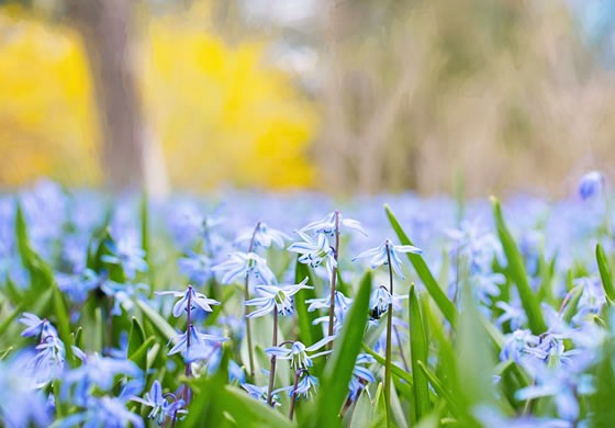有个性的早安说说句句简短走心,早安语录励志点赞高的说说带图片