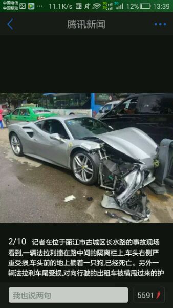 前天在路上看到一只狗被车撞,狗狗出车祸还能救吗