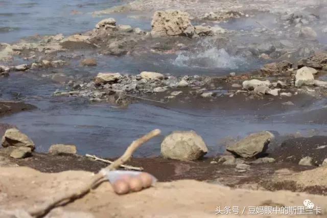 风动？树动？心动！致你，Kenya