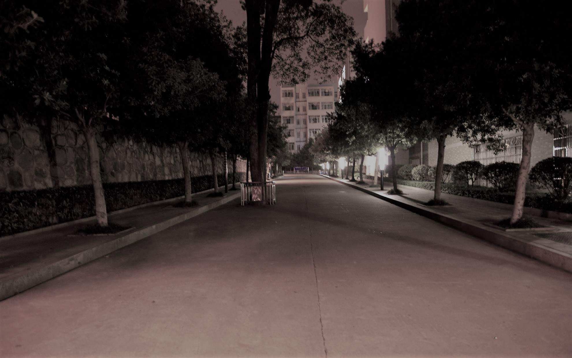 我和贞子谈恋爱故事,我和贞子有个约会