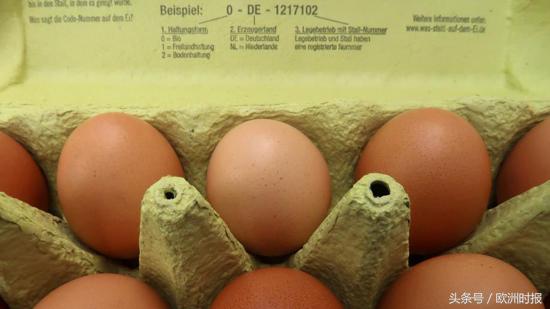 中国游客德国被捕,欧洲人作死新闻