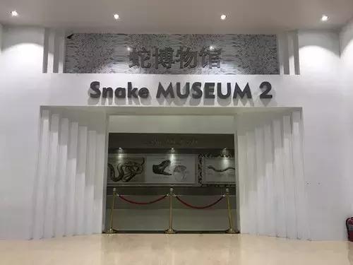 一路向北最清凉的夏天,一路向南翻过喜马拉雅山脉