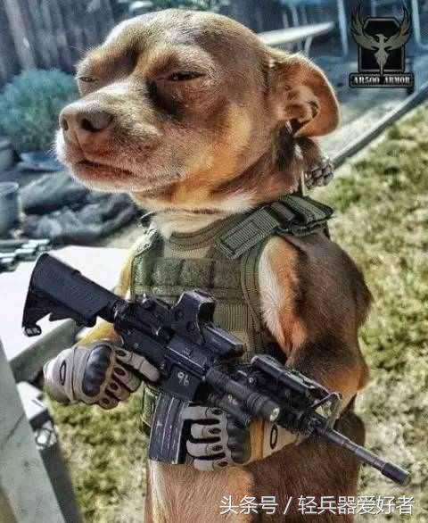 经典款m1911,经典m17