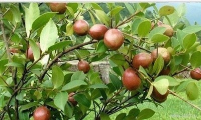 长湿疹怎么一挠一个包,长了湿疹全身痒的不行有什么办法