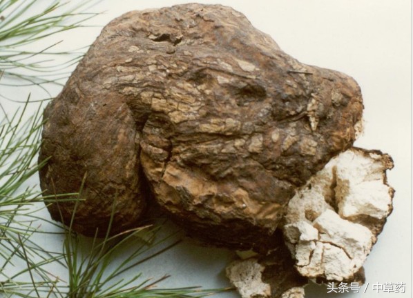 有清热解毒以及敛疮生肌的中药 (祛风止痛止血止痢敛疮生肌中药)