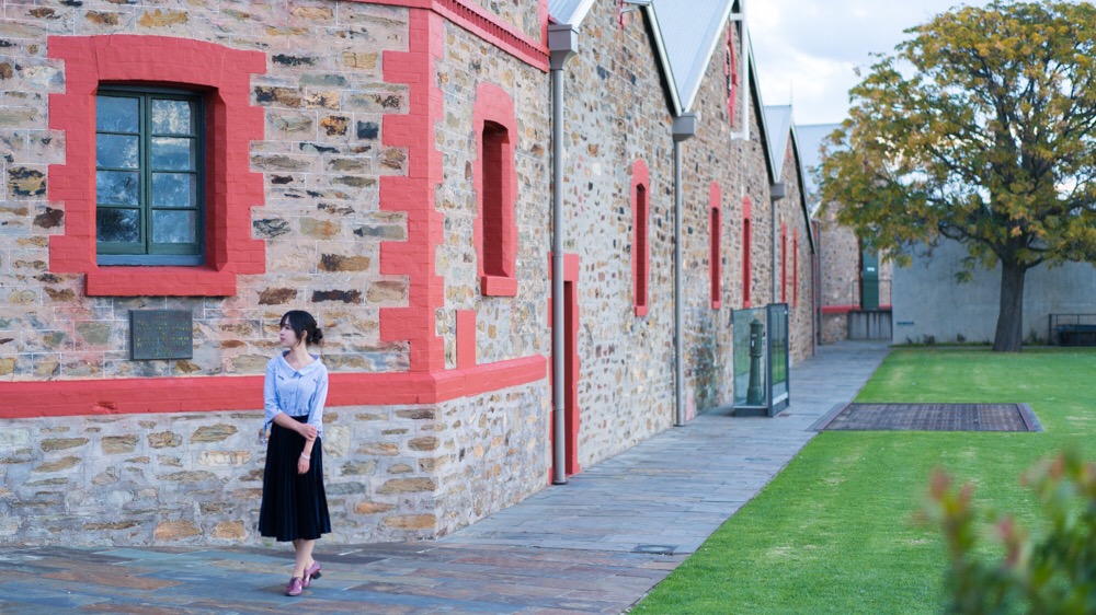 澳洲生蚝哪里最好,全球顶级生蚝多少钱一个