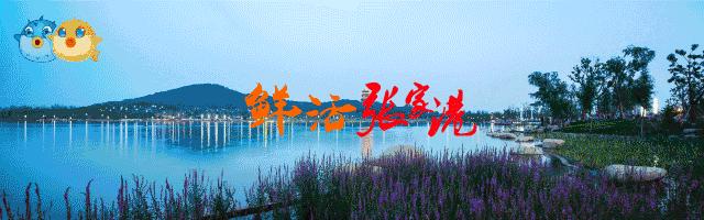 张家港城市发展得怎么样,为什么羡慕江浙沪