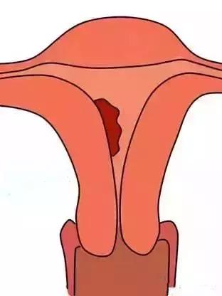 名媛月府月子中心费用,名媛月府个性定制月子中心